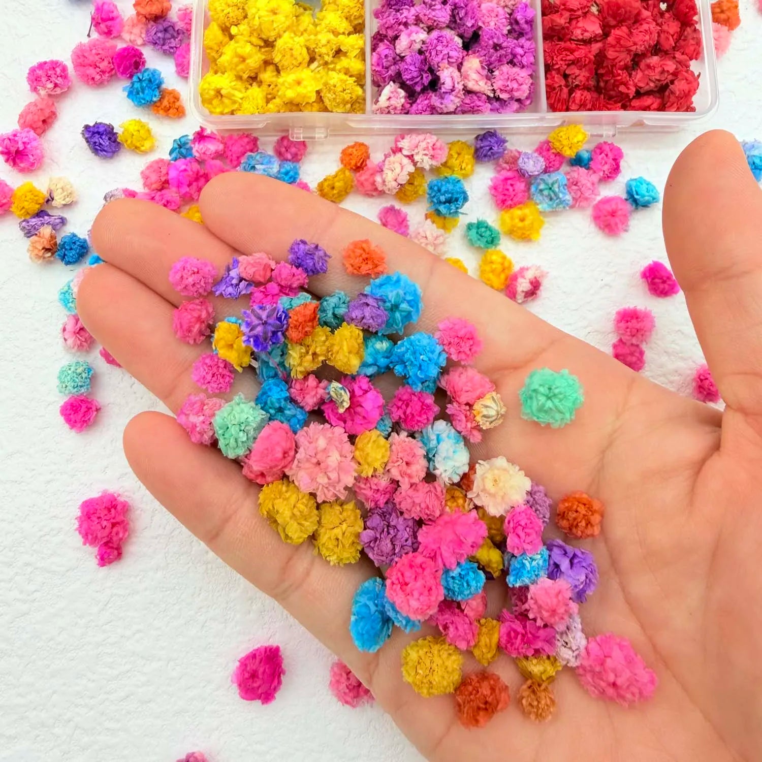 Dried Flowers for Resin, Candle, Soap, Nail Art & DIY Crafts