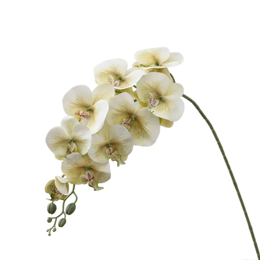 9-Head Artificial Phalaenopsis Orchid Branch | Real Touch Flowers