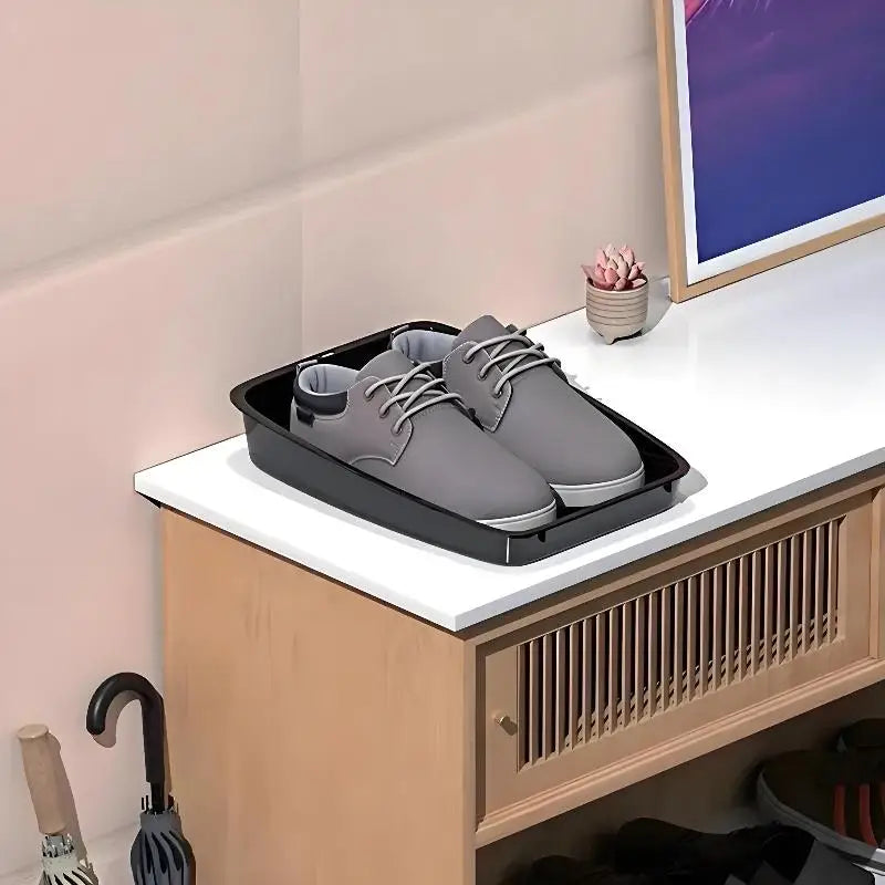 Car Shoes Storage Tray Interior Multifunctional Durable Accessory Tidying Vehicle Organizer Under Seat Container Box Oasis Select