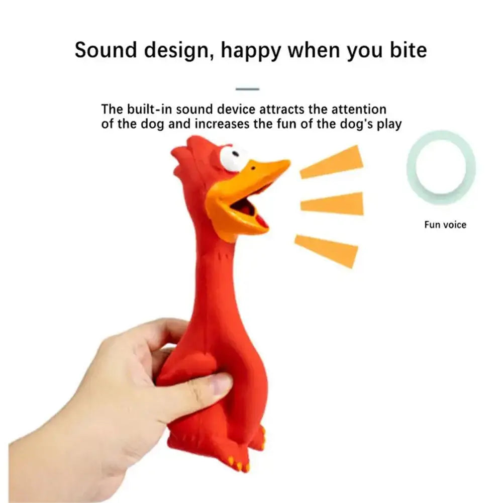 New Squeak Dog Toy Chew Bone Squeaky Ball Chicken Sound Dog Toys Tooth Grinding Training Pet Toy Supplies Dog Accessories Oasis Select