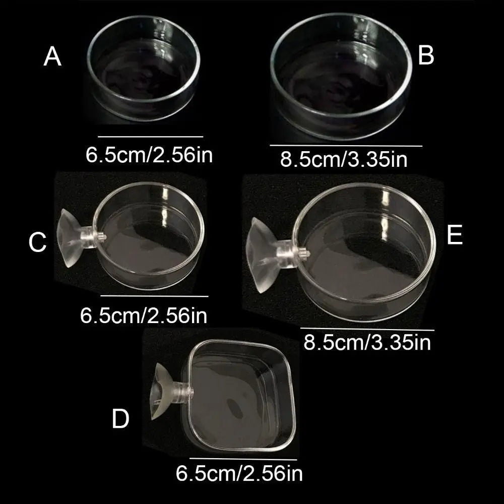 Acrylic Aquarium Feeder Transparent with Suction Cup Aerial Feeding Bowl Universal Fish Shrimp Feeding Dish Oasis Select