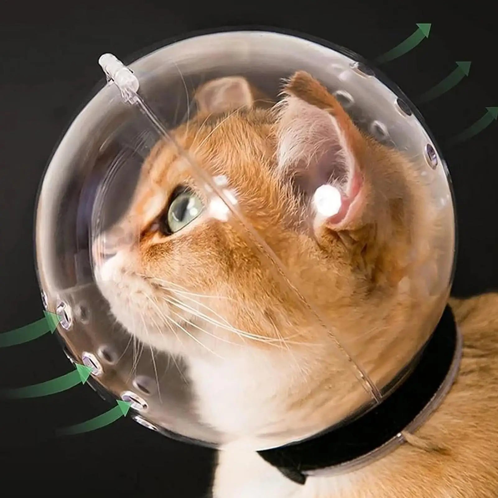 Cat Bubble Muzzle Breathable Sturdy Muzzle Mask Cat Head Cover Space Hood Protective Helmet Anti-bite Pet Grooming Supplies Oasis Select