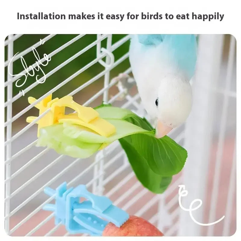 2/4Pcs Pet Bird Food Holder Parrot Fruits Vegetables Clip Bracket Cuttlefish Bone Feeder Device Clamp Bird Cage Accessories Oasis Select