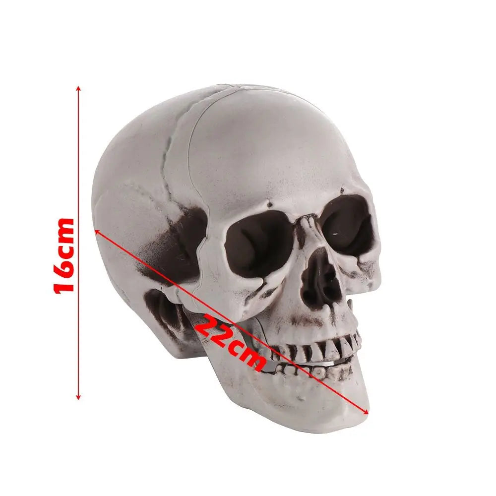 1PC All Size Party Decoration Home Decor Halloween Props Human Skeleton Skull Head Hanging Decor Oasis Select A-15x16x22cm