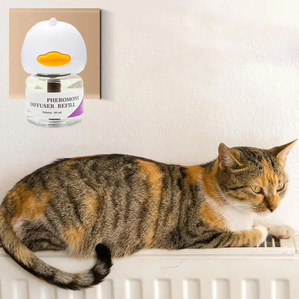 Cat Pheromone Diffuser Safe Cat Calming Diffuser Ease Stress Quiet Sleep Comfort Supplies Plug for House Travel Kitten Spraying Oasis Select