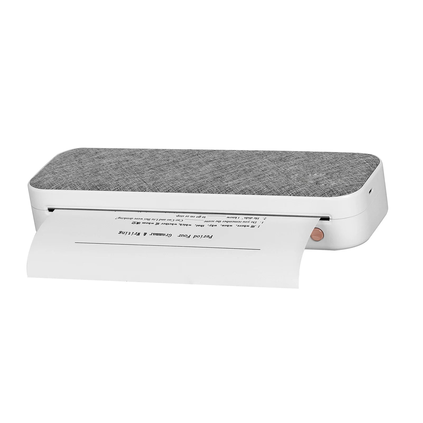 PeriPage A4 Mini Thermal Printer Wireless BT USB Mobile Printer 210mm Width Support 2-4'' Paper PDF Picture for Android iOS Oasis Select GRAY