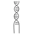 Plant Climbing Support Gardens Flower Pots Use Vine Stand Metal Cross Frame Holder Accessories Bonsai Tool for Seedlings Trellis Oasis Select Black L