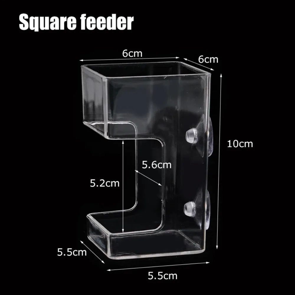 Acrylic Aquarium Feeders Ring Transparent Suction Cup Fish Tank Food Dispenser Fixed-Point Durable Floating Food Tray Feeder Oasis Select Square