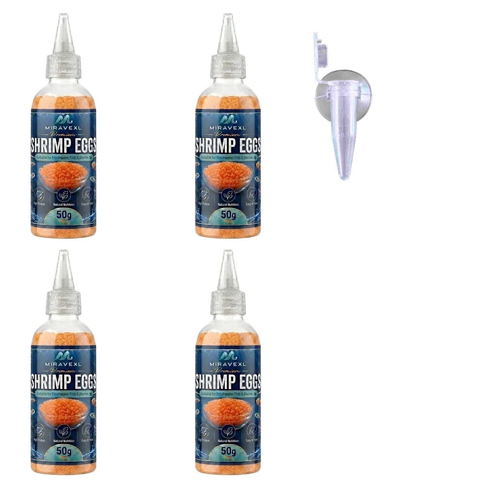 Aquarium Brine Shrimp Eggs Fish Food & Feeder Set Baby Fish Fry Feeding Dispenser Kit Fish Tank Accessories Artemia Cysts Helper Oasis Select 4PCS