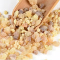 200/100g original frankincense cones Nipple boswellia Promote blood circulation incense brock oliban Medicine Hydrosol Oasis Select 100g
