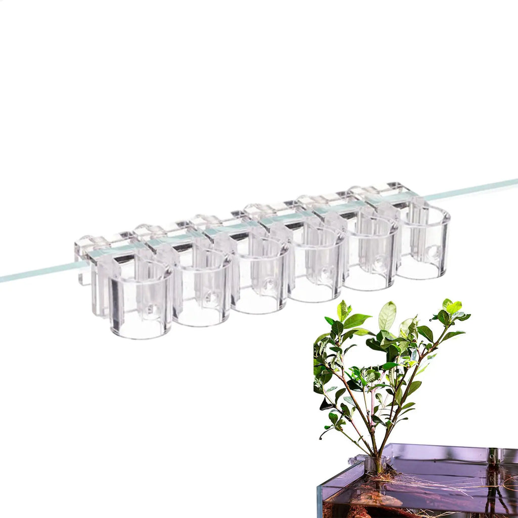 6 Pieces Clear Planting Cup Aquarium Plant Holder Hangable Aquatic Plant Holder For Fish Tank Home Grow Planting Cultivation Oasis Select
