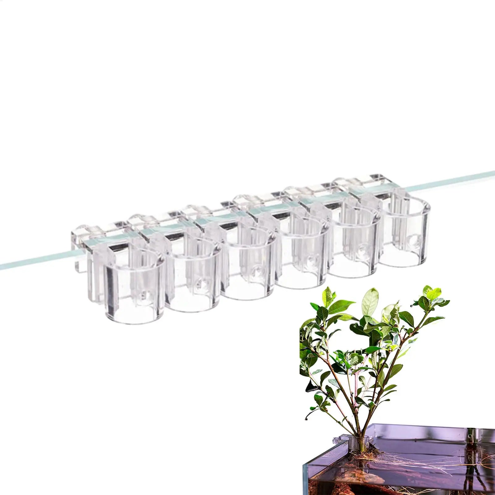 6 Pieces Clear Planting Cup Aquarium Plant Holder Hangable Aquatic Plant Holder For Fish Tank Home Grow Planting Cultivation Oasis Select