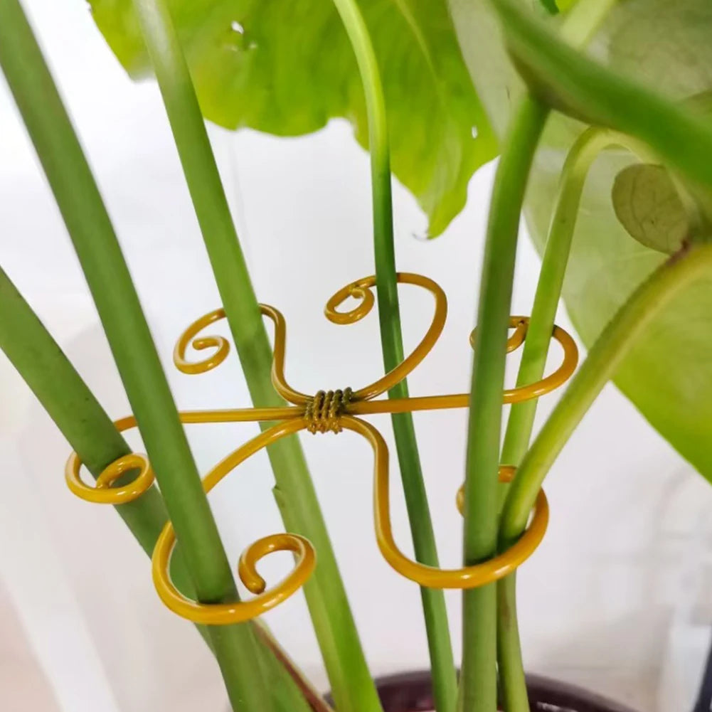 5-Pack Metal Plant Stem Supports – Monstera & Indoor Plants Plant Stem Supports Oasis Select