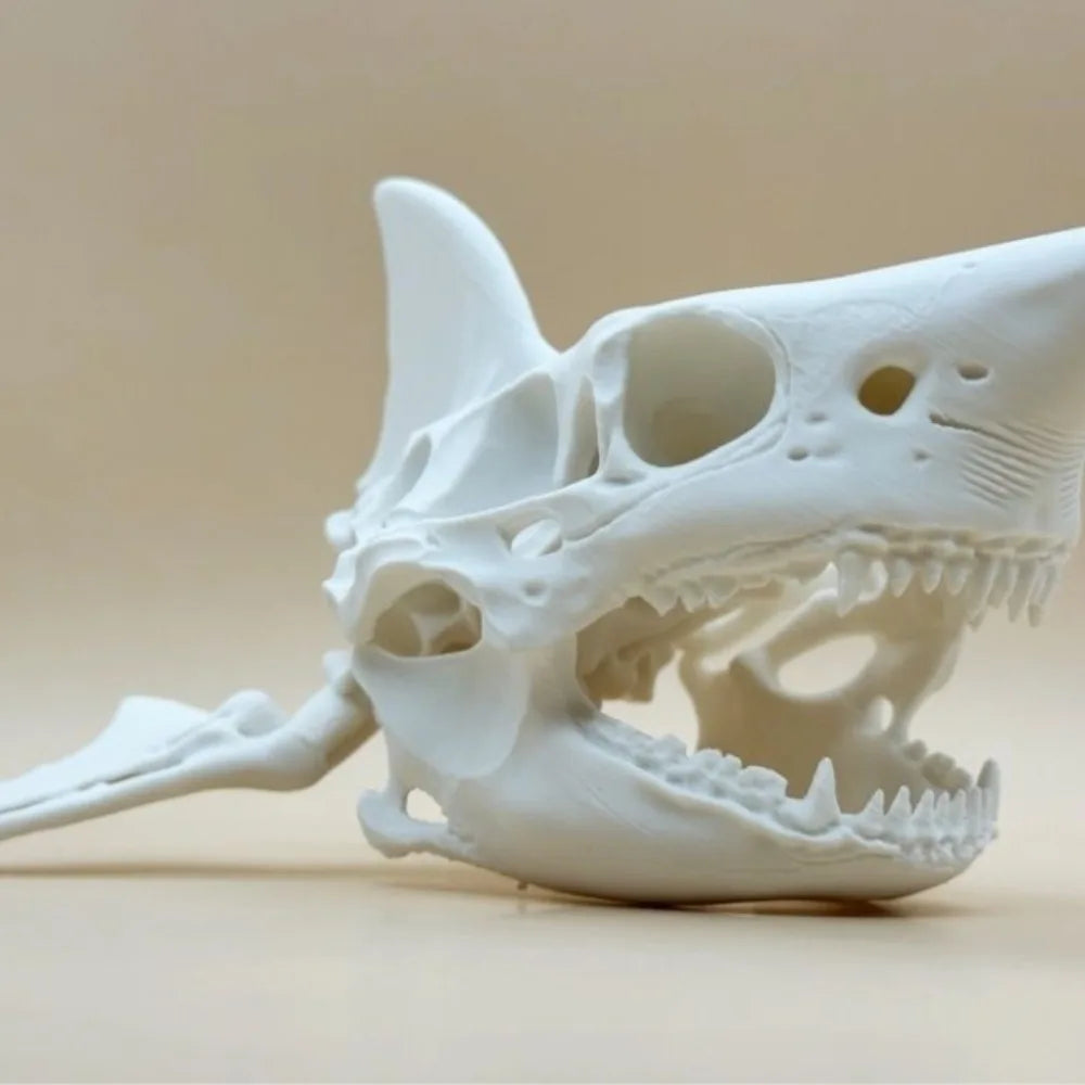 3D Printing Shark Skull Skeleton Cosplay Props Aquarium Ornaments Fish Tanks, Reptiles Fish Tank Landscapes Fish Shrimp Shelter Oasis Select 16cm