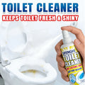 Ceramic & Toilet Rust Remover Spray | Fast-Acting Formula