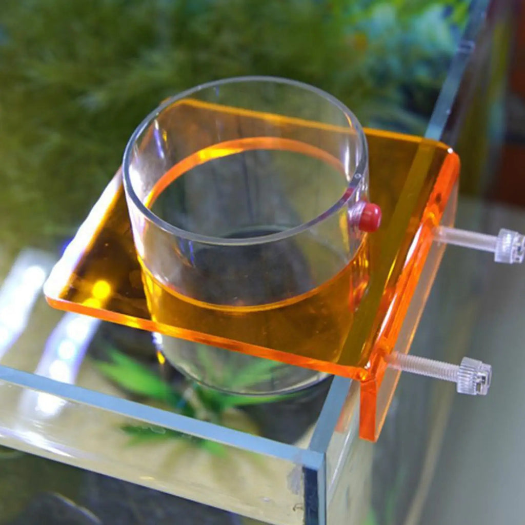 Feeding Dish Aquarium Fish Tank Reptiles Feeder Bowl with Suction Cup Acrylic Fluorescent Fish Feeding Aquarium Supplies Oasis Select