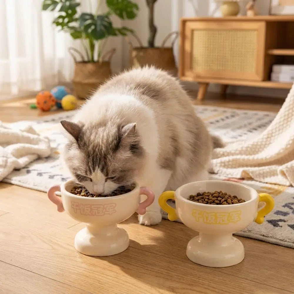 Elevated Ceramic Cat Bowl – Non-Slip Base | Food & Water