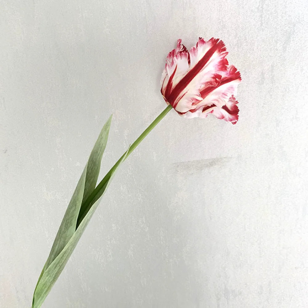 Luxury 3D Parrot Tulip branch 1PC Real Touch Artificial Flowers for Wedding Fake Tulips Bridal DIY Bouquet Living Room Ornaments Oasis Select Red