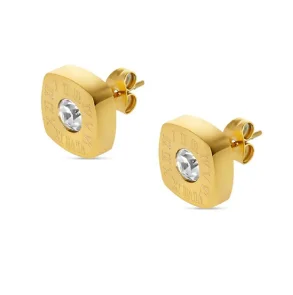 Hoop Earrings for Women Trendy Golden Stainless Steel Earring Jewelry New Oasis Select D31 Gold