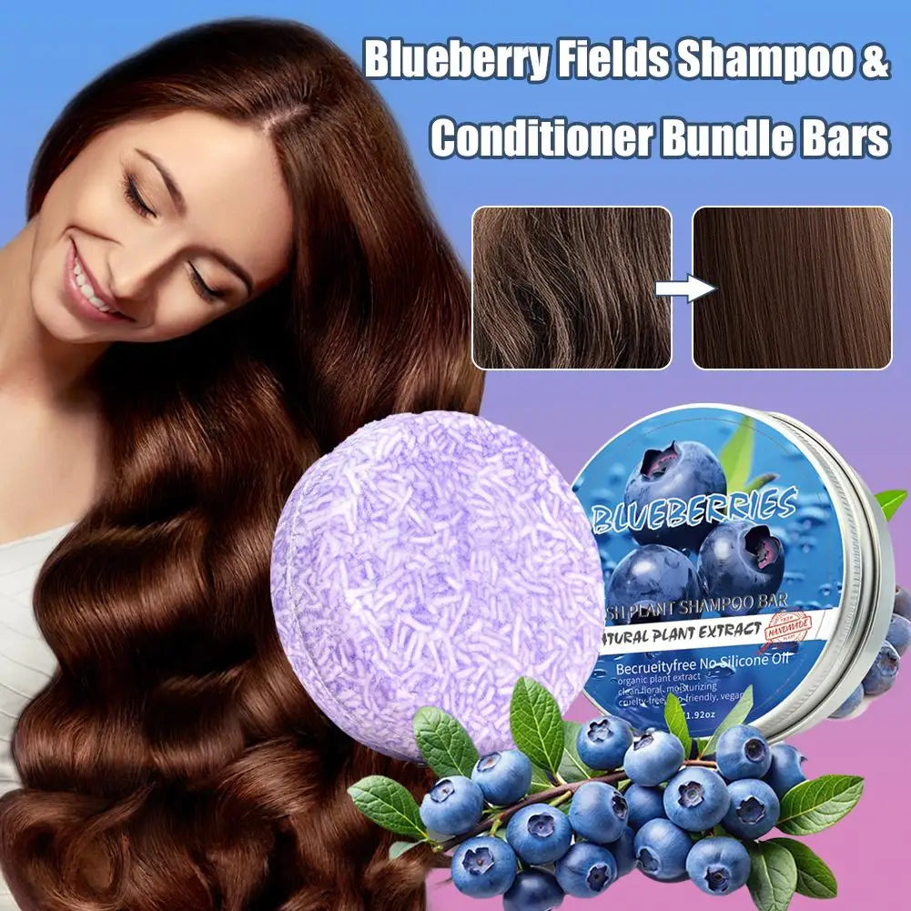 Blueberry Solid Shampoo & Conditioner Bar – Frizz & Hair Thinning Solid Shampoo Bar Oasis Select
