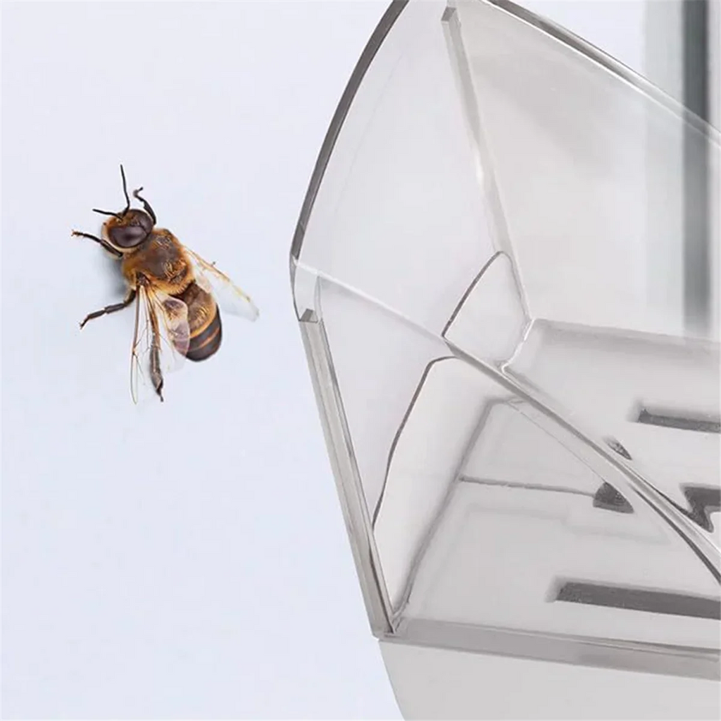 Handheld Insect & Spider Catcher – Safe Chemical-Free Trap