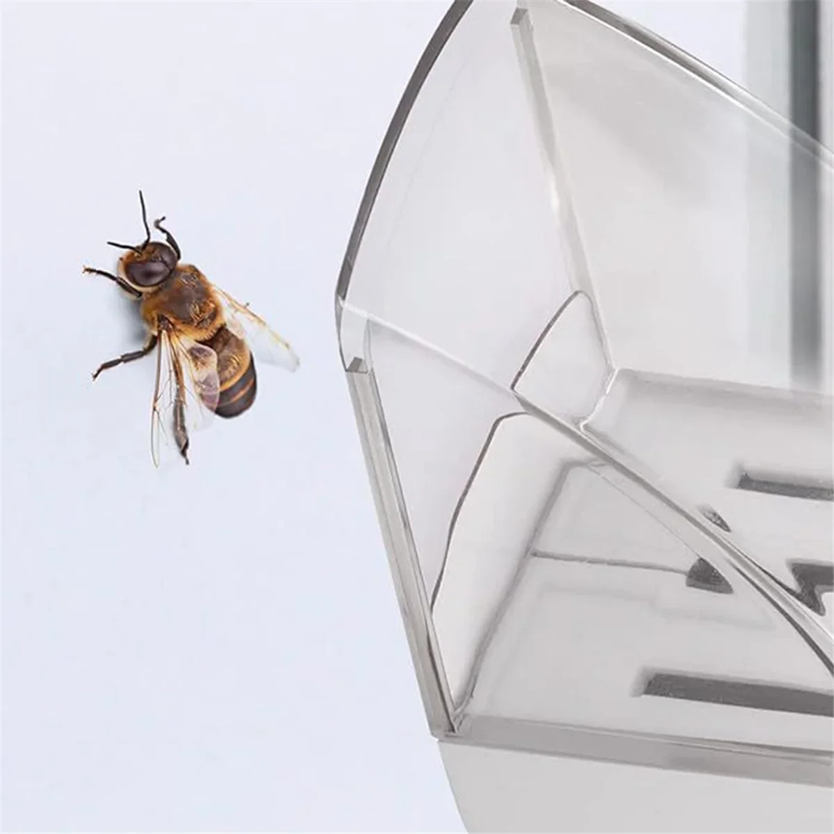 Handheld Insect & Spider Catcher – Safe Chemical-Free Trap