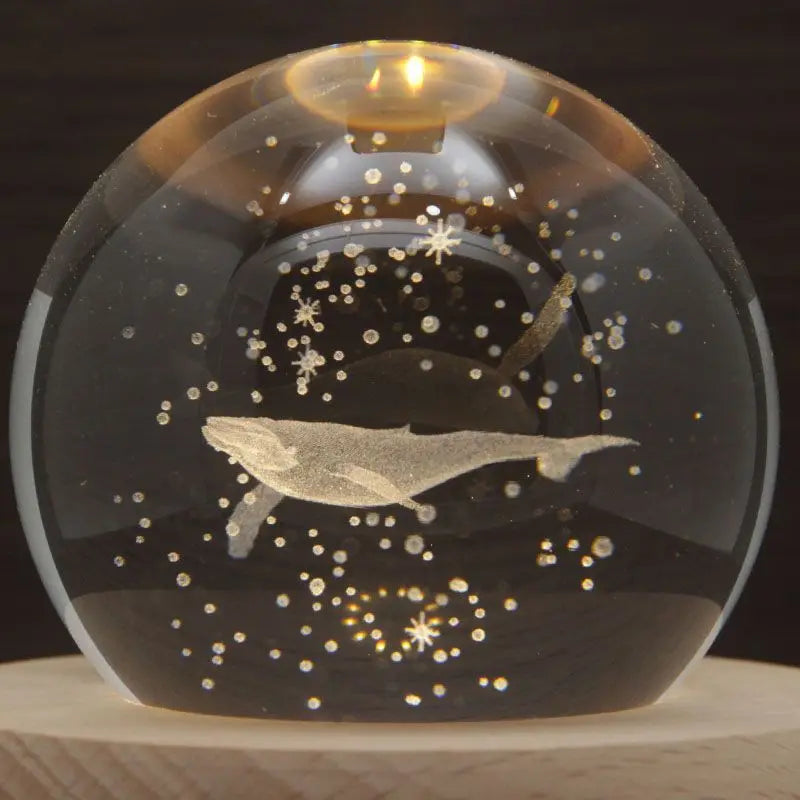 Bird's Poem Whale Crystal Ball Music Box Rotating Ornament, Music Box Creative Light Gift Ornament Oasis Select