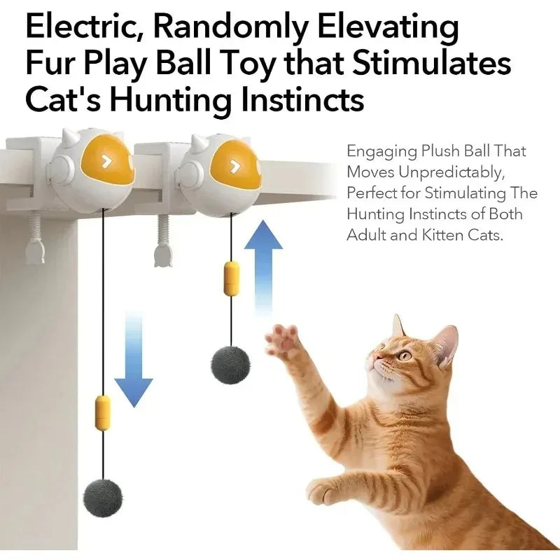 Can Be Raised and Lowered Hair Balls Electric Cat Balls New Interactive Cat Toys Pet Toys Self-hilarious Electric Cat Balls Toys Oasis Select