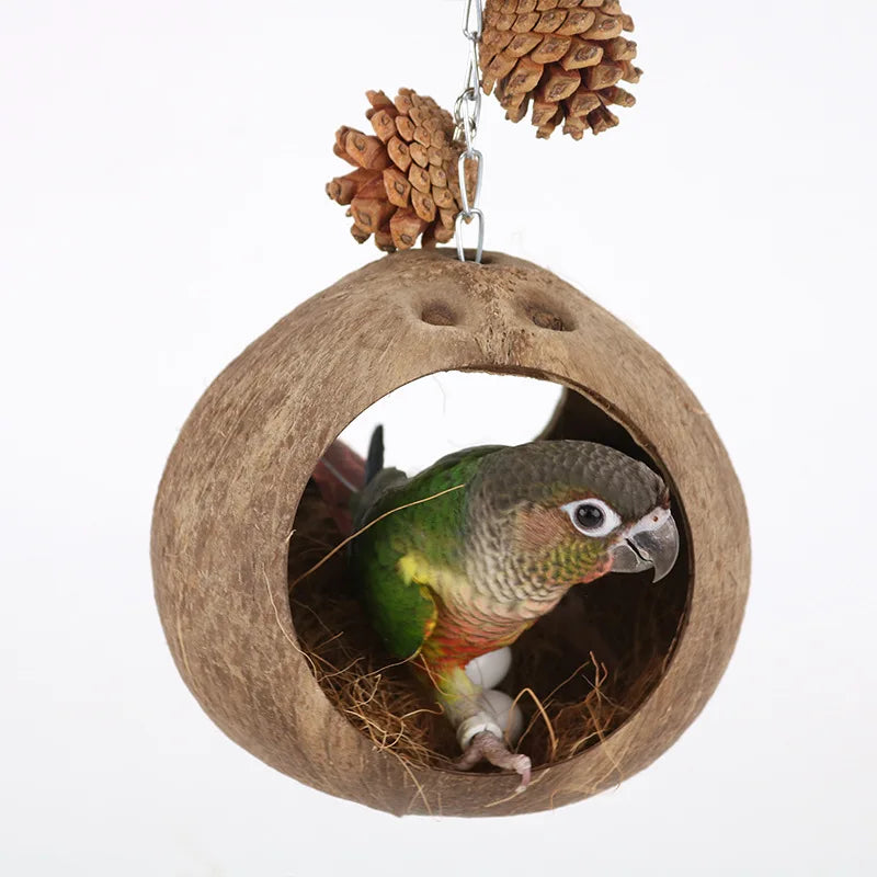 Coconut Bird Nest Hut With Ladder Hanging,Hanging Coconut Bird House Parrot Hideout Bird Cage For Lovebird Pigeons Pet Supplies Oasis Select