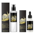 Snail Anti Aging Serum Snail Mucin Essence Advanced Moisturizing Skin Care Pore Shrink Hyaluronic Acid Serum Brighten Essence Oasis Select 100ml China Mainland
