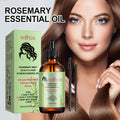 Rosemary Essential Oil for Hair – Nourishes, Smoothes & Repairs Hair Care Oil Oasis Select Default Title