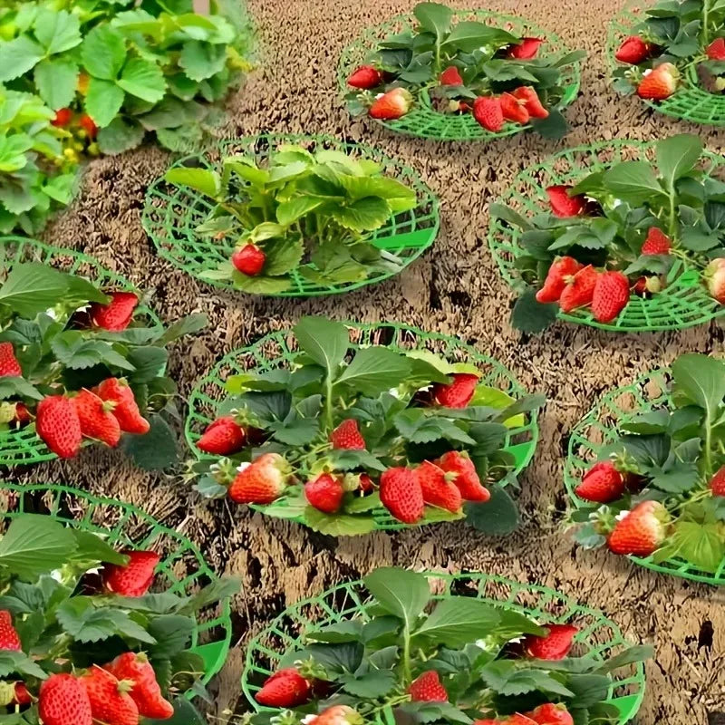 10pcs of Green Strawberry Planting Rack with 3 Sturdy Legs-strawberry Planting Rack Potted Antiseptic Rotten Fruit Support Oasis Select
