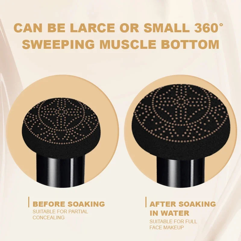 LAIKOU BB Cream Air Cushion Foundation Concealer – Mushroom Puff