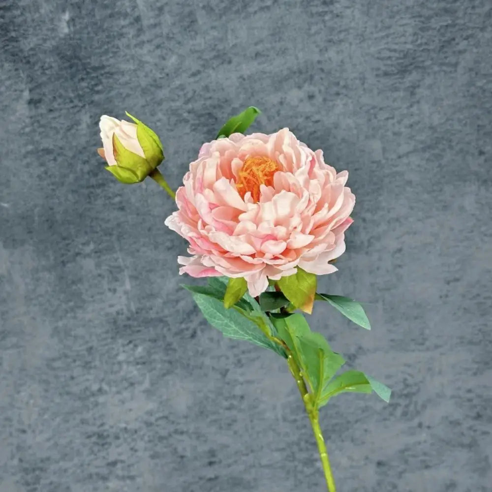 Peony Simulation Flowers, Home And Living Room Artificial Flower Decorations, Dining Table Dried Flower Bouquet Decoration Oasis Select Light Pink1