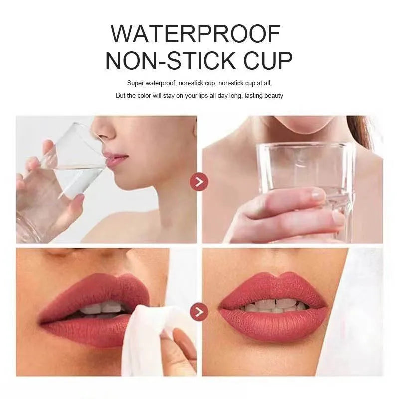1 Pcs Velvet Matte Lipstick Lip Gloss-Long-Lasting Waterproof Non-Stick Holiday Stage Makeup Beautifully Packaged Easy Coloring Oasis Select
