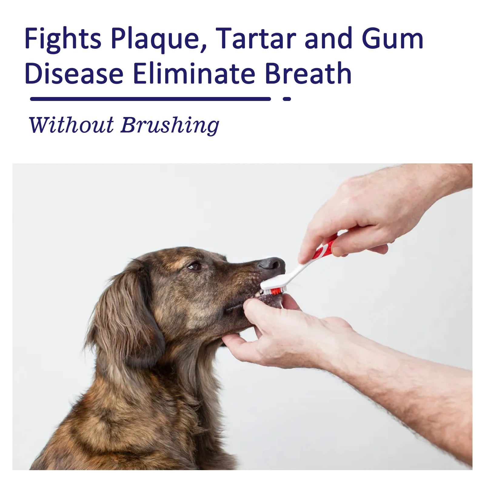 Pet Toothpaste Reduce Tartar Remove Dental Stain Eliminate Bad Breath Deodorant Whitening Dog Cat Teeth Pet Oral Care Toothpaste Oasis Select