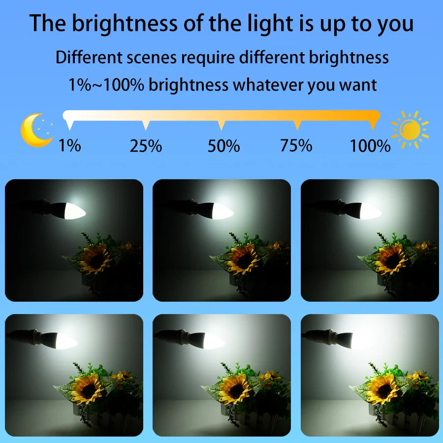 E14 Wifi Smart Light Bulb Candle Lamp 220V 5W 7W 9W Dimmable Tuya Smart Life APP Voice Control Bulbs With Alexa Google Home Oasis Select