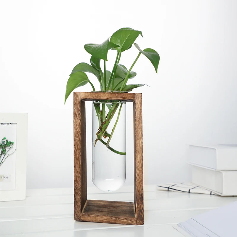 Creative Hydroponic Glass Vases Green Plant and Fresh Flower Arrangements Simple Solid Wood Tabletop Decorative Items Oasis Select