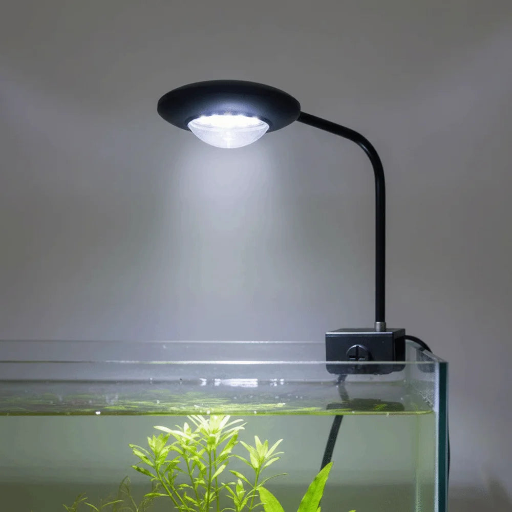 Full Spectrum Fish Tank Clip Lamp Adjustable Brightness Flexible Stem Aquatic Plant Grow Light Low Flicker Frequency Oasis Select