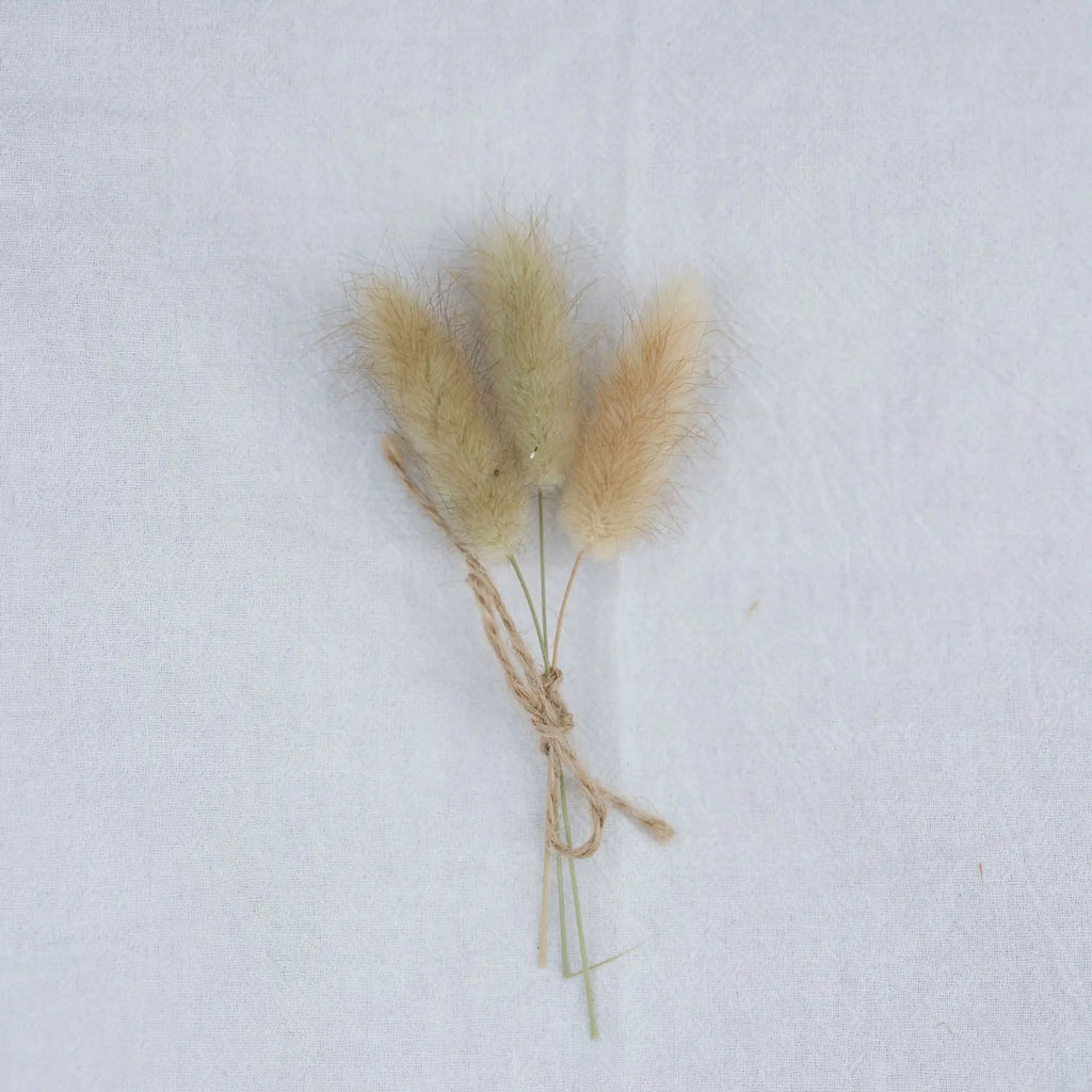Dried Flower Bouquet High-Quality Fingertip Bouquet Greeting Card Decoration Versatile Diy Flower Kit For Diy Projects Event Oasis Select 6