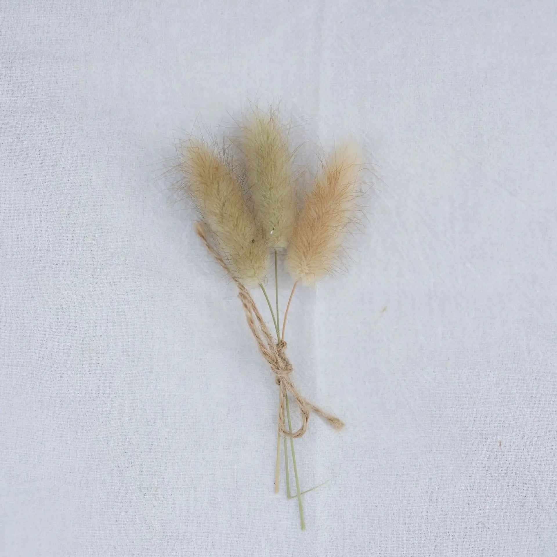 Dried Flower Bouquet High-Quality Fingertip Bouquet Greeting Card Decoration Versatile Diy Flower Kit For Diy Projects Event Oasis Select 6