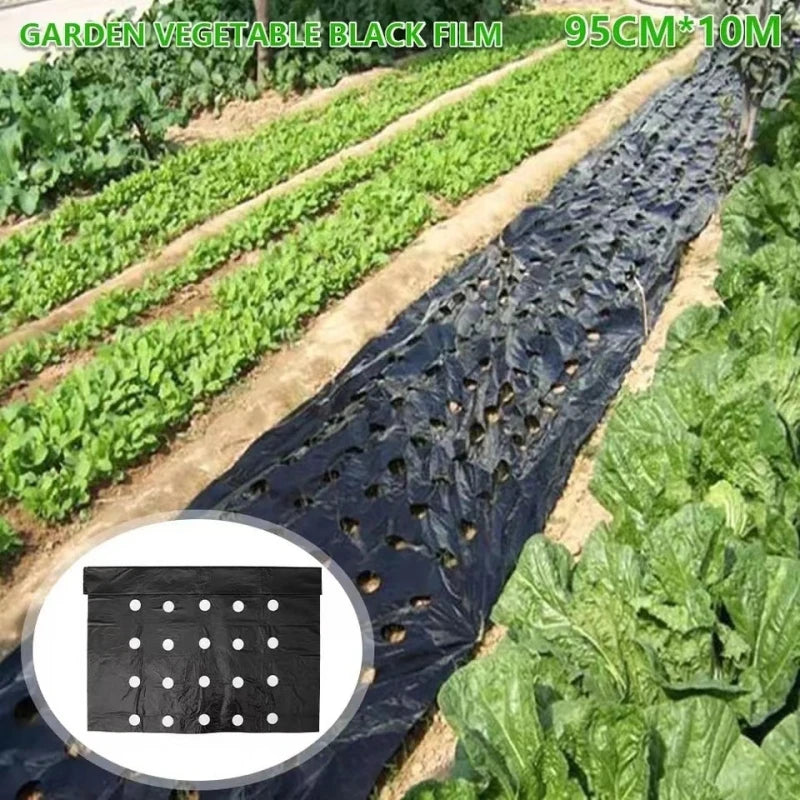 Durable Perforated Weed Barrier Fabric Black Grass Proof Coth for Vegetable Cultivation Farms Gardens Prevent Weeds Growth Oasis Select