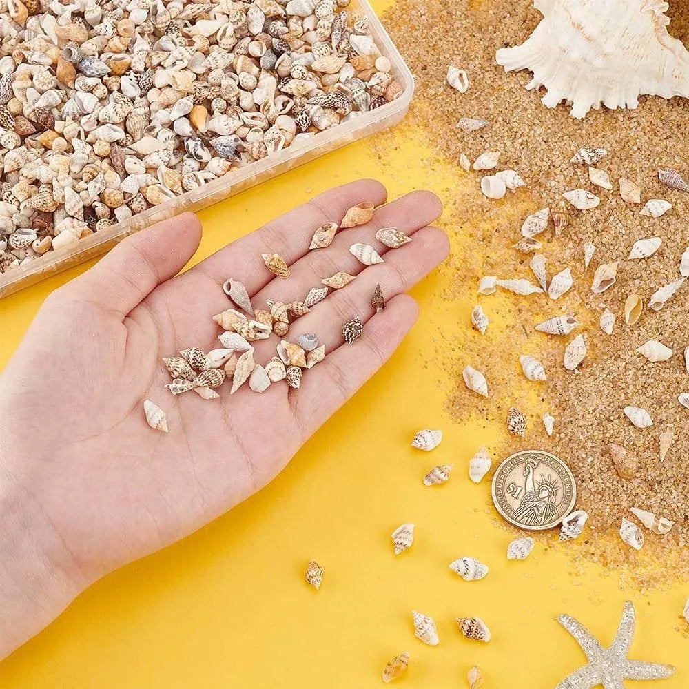 1Box Tiny Sea Shells Miniature Shell NO Hole for Candle making Jewelry Making Crafts FishTank Aquarium Ornament Craftwork Oasis Select