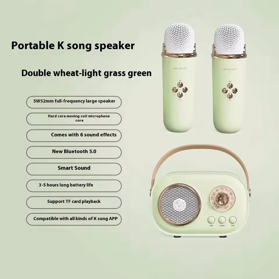 Portable Karaoke Bluetooth Speaker & Wireless Microphone | FM