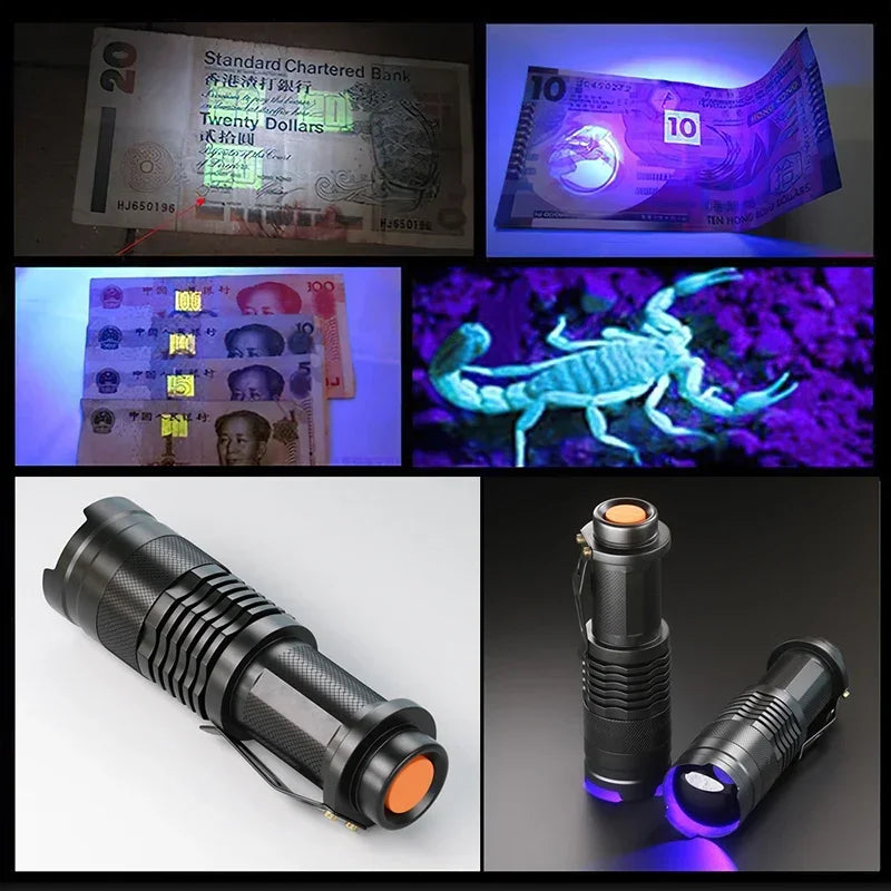 UV LED Flashlight Portable Blacklight 395nm Wavelength Violet Light Pet Urine Scorpion Feminine Hygiene Detector Torch Oasis Select