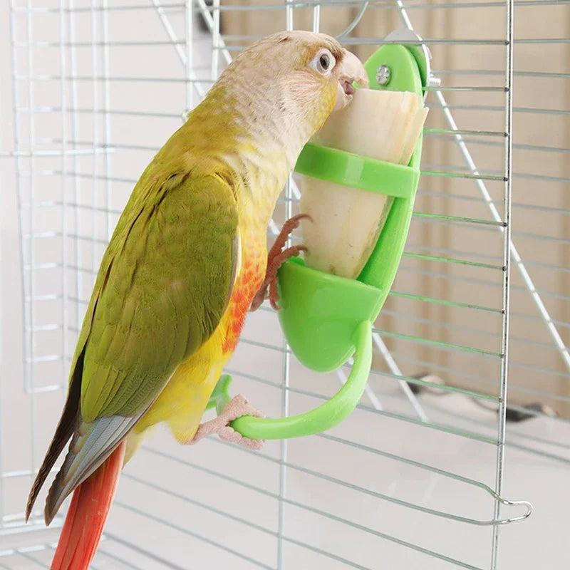 1PC Bird Cage Feeding Holder for Parrots Budgies Parakeets Cockatiels Cuttlebone Vegetable & Fruit Feeder Oasis Select