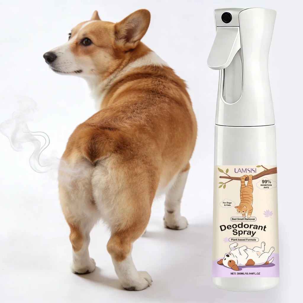 Plant-Based Pet Deodorant Spray Dogs & Cats 300ml | 24H Fresh Pet Deodorant Spray Oasis Select Default Title