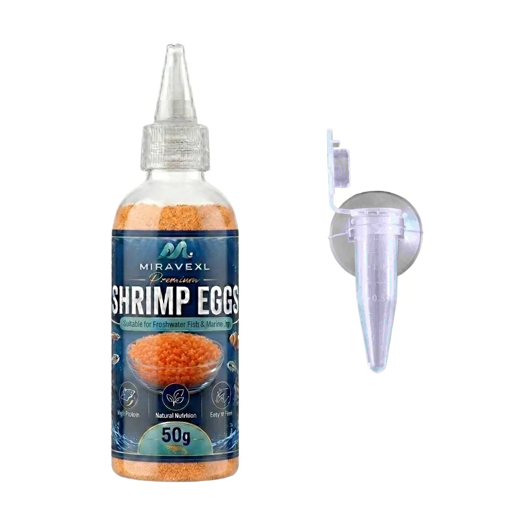 Aquarium Brine Shrimp Eggs Fish Food & Feeder Set Baby Fish Fry Feeding Dispenser Kit Fish Tank Accessories Artemia Cysts Helper Oasis Select 1PCS