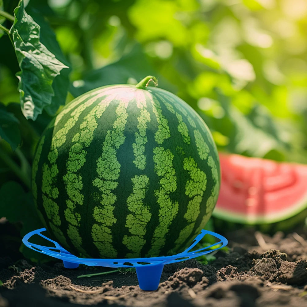 10pcs Watermelon Cradle Reusable Fruits Vegetables Nursery Tray Vegetables Plant Holder for Watermelons Pumpkins Melons Squash Oasis Select