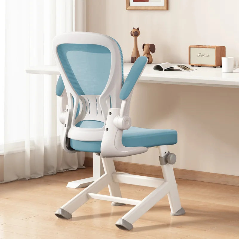 Teen Study Chair Bedroom Desk Chair Computer Chair Ergonomic Office Chair Oasis Select 6